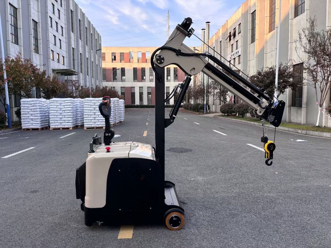 300 KG Lifting Capacity Non Standard Electric Crane Arm Counter Balance Forklift  Truck  Lifting Height 3000 MM