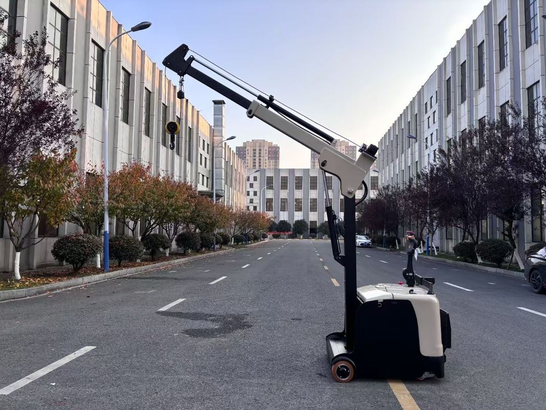 300 KG Lifting Capacity Non Standard Electric Crane Arm Counter Balance Forklift  Truck  Lifting Height 3000 MM