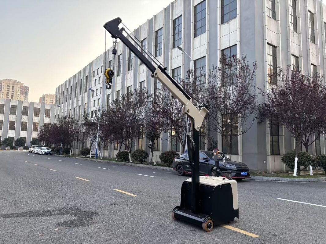 300 KG Lifting Capacity Non Standard Electric Crane Arm Counter Balance Forklift  Truck  Lifting Height 3000 MM